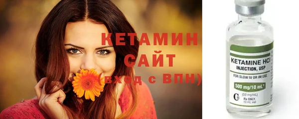 apvp Дмитриев