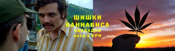apvp Дмитриев