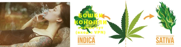 apvp Дмитриев