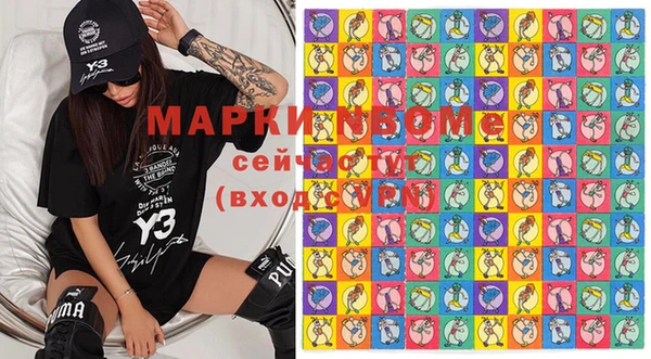 apvp Дмитриев