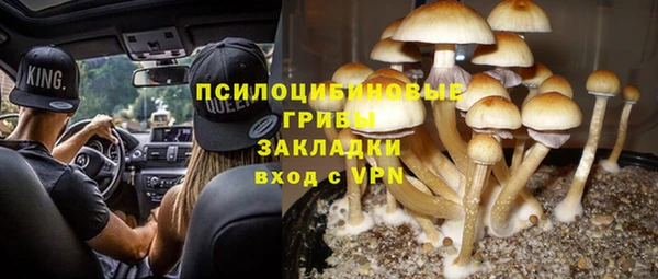 молекула духа Дмитровск