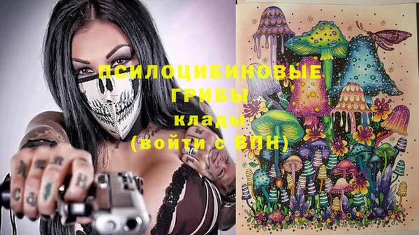 молекула духа Дмитровск
