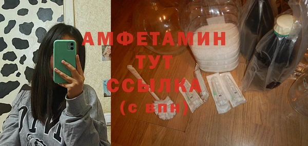 молекула духа Дмитровск