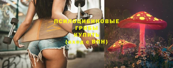 прущий лед Дмитров