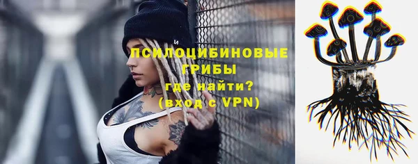 молекула духа Дмитровск
