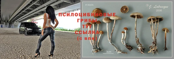 прущий лед Дмитров