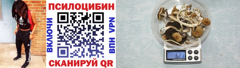 кракен зеркало  Павловск  Галлюциногенные грибы ЛСД 